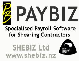 PAYBIZ Software By Shebiz